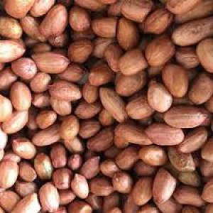 بادام زمینی کپسولی